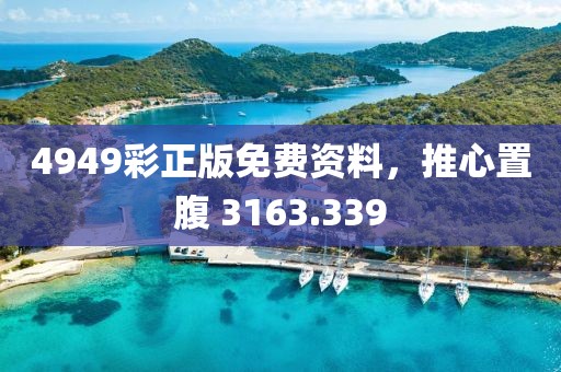 4949彩正版免费资料，推心置腹 3163.339