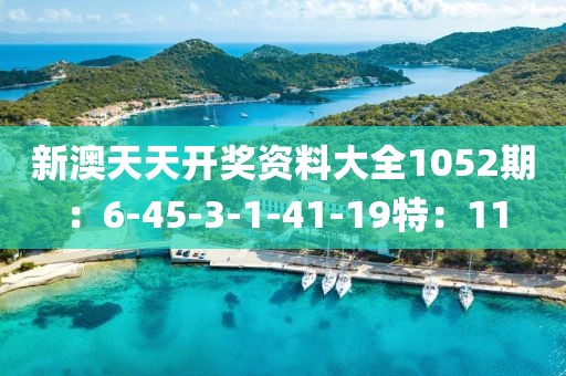 新澳天天开奖资料大全1052期：6-45-3-1-41-19特：11