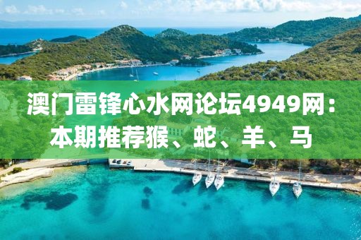 澳门雷锋心水网论坛4949网：本期推荐猴、蛇、羊、马
