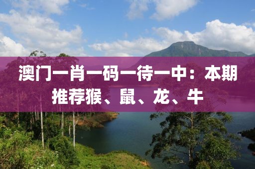 澳门一肖一码一待一中：本期推荐猴、鼠、龙、牛