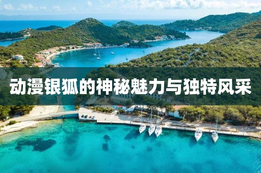 动漫银狐的神秘魅力与独特风采