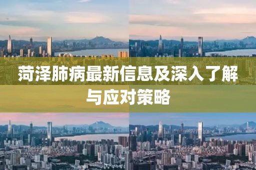 菏泽肺病最新信息及深入了解与应对策略