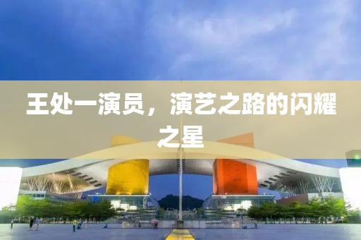 王处一演员，演艺之路的闪耀之星