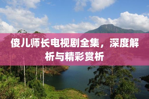 傻儿师长电视剧全集，深度解析与精彩赏析