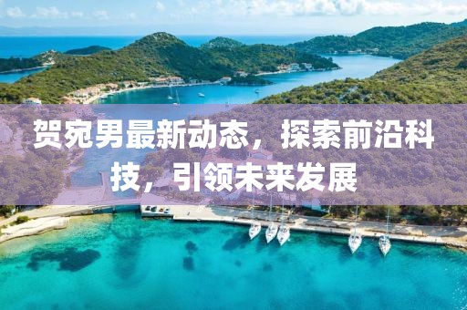 贺宛男最新动态，探索前沿科技，引领未来发展