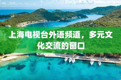 上海电视台外语频道，多元文化交流的窗口