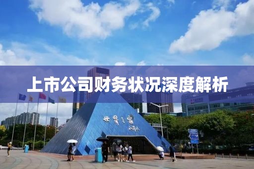 上市公司财务状况深度解析