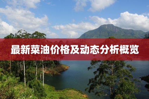 最新菜油价格及动态分析概览