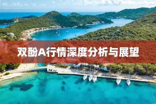 双酚A行情深度分析与展望