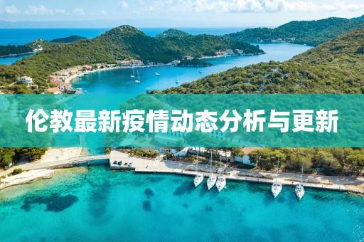 伦教最新疫情动态分析与更新