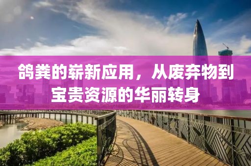 鸽粪的崭新应用，从废弃物到宝贵资源的华丽转身