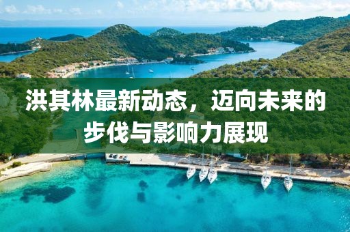 洪其林最新动态，迈向未来的步伐与影响力展现