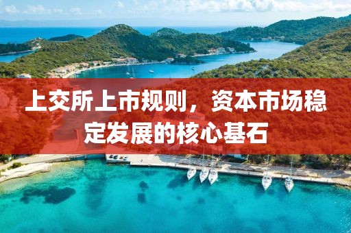 上交所上市规则，资本市场稳定发展的核心基石