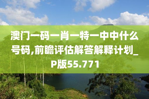 澳门一码一肖一特一中中什么号码,前瞻评估解答解释计划_P版55.771