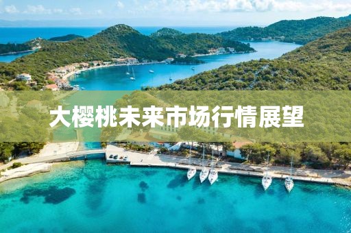 大樱桃未来市场行情展望