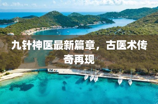 九针神医最新篇章，古医术传奇再现