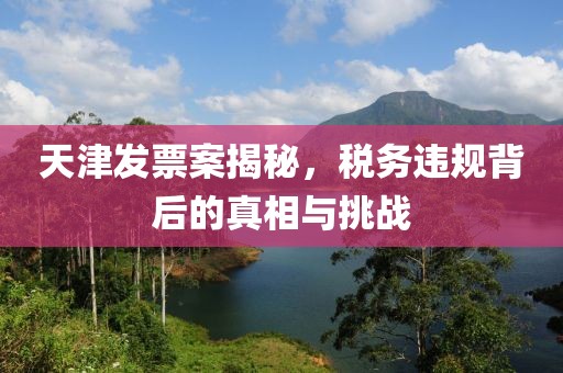 天津发票案揭秘，税务违规背后的真相与挑战
