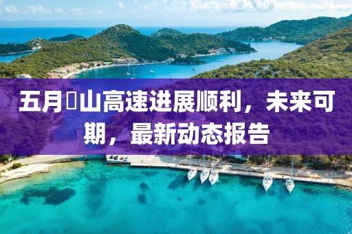 五月崀山高速进展顺利，未来可期，最新动态报告
