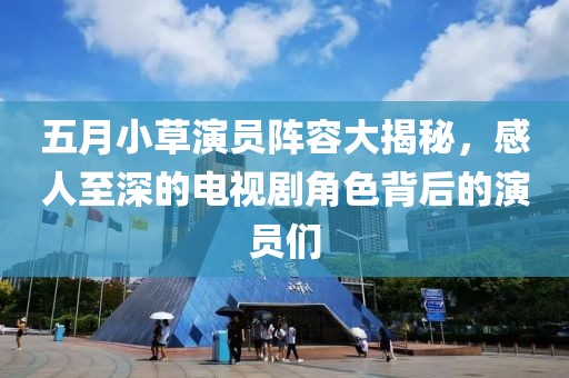 五月小草演员阵容大揭秘，感人至深的电视剧角色背后的演员们