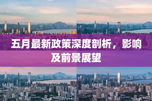五月最新政策深度剖析，影响及前景展望