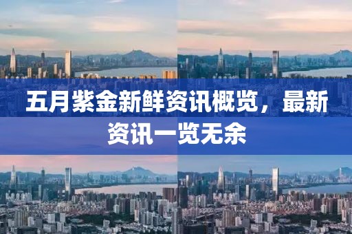 五月紫金新鲜资讯概览，最新资讯一览无余