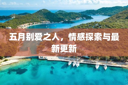 五月别爱之人，情感探索与最新更新