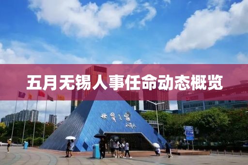 五月无锡人事任命动态概览