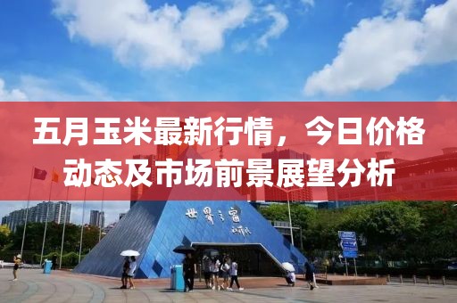 五月玉米最新行情，今日价格动态及市场前景展望分析