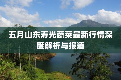 五月山东寿光蔬菜最新行情深度解析与报道