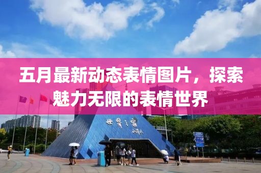 五月最新动态表情图片，探索魅力无限的表情世界