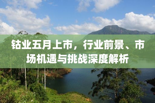 钴业五月上市，行业前景、市场机遇与挑战深度解析