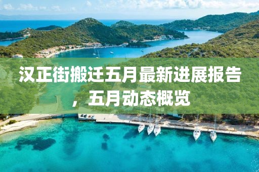 汉正街搬迁五月最新进展报告，五月动态概览