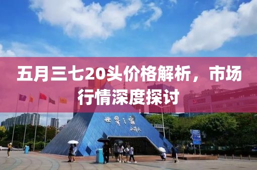 五月三七20头价格解析，市场行情深度探讨
