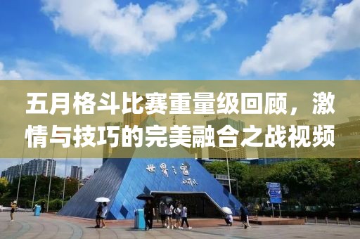 五月格斗比赛重量级回顾，激情与技巧的完美融合之战视频