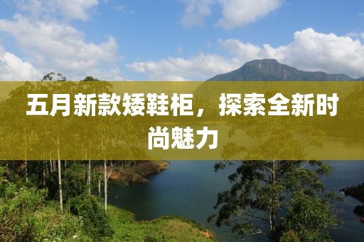 五月新款矮鞋柜，探索全新时尚魅力