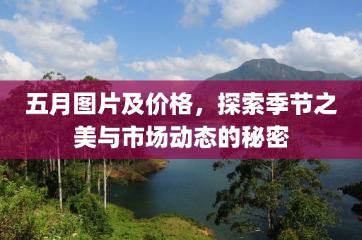 五月图片及价格，探索季节之美与市场动态的秘密