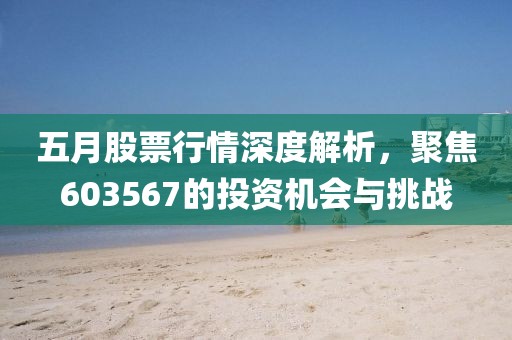 五月股票行情深度解析，聚焦603567的投资机会与挑战