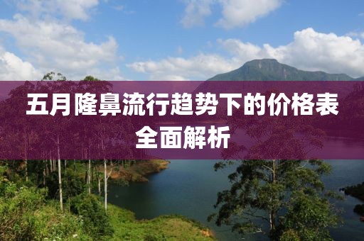 五月隆鼻流行趋势下的价格表全面解析