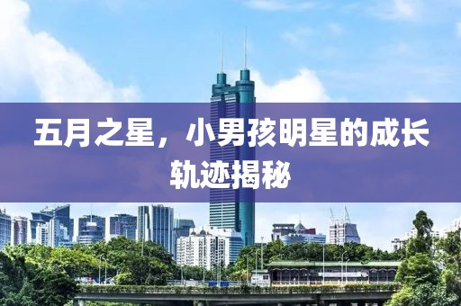 五月之星，小男孩明星的成长轨迹揭秘