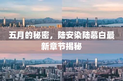 五月的秘密，陆安染陆慕白最新章节揭秘