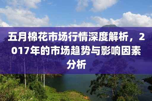 五月棉花市场行情深度解析，2017年的市场趋势与影响因素分析