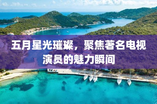 五月星光璀璨，聚焦著名电视演员的魅力瞬间