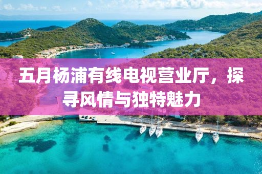 五月杨浦有线电视营业厅，探寻风情与独特魅力