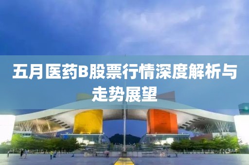 五月医药B股票行情深度解析与走势展望