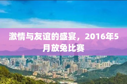 激情与友谊的盛宴，2016年5月放兔比赛