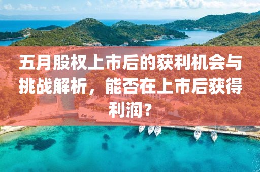 五月股权上市后的获利机会与挑战解析，能否在上市后获得利润？
