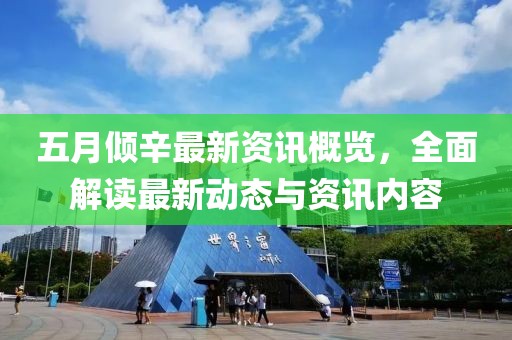 五月倾辛最新资讯概览，全面解读最新动态与资讯内容