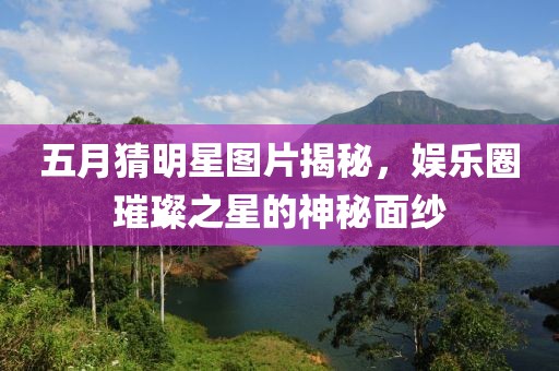 五月猜明星图片揭秘，娱乐圈璀璨之星的神秘面纱