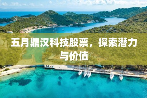 五月鼎汉科技股票，探索潜力与价值