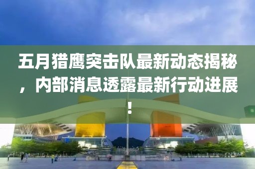 五月猎鹰突击队最新动态揭秘，内部消息透露最新行动进展！